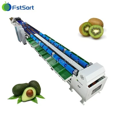 Mesin Pemilah Berat Kiwi